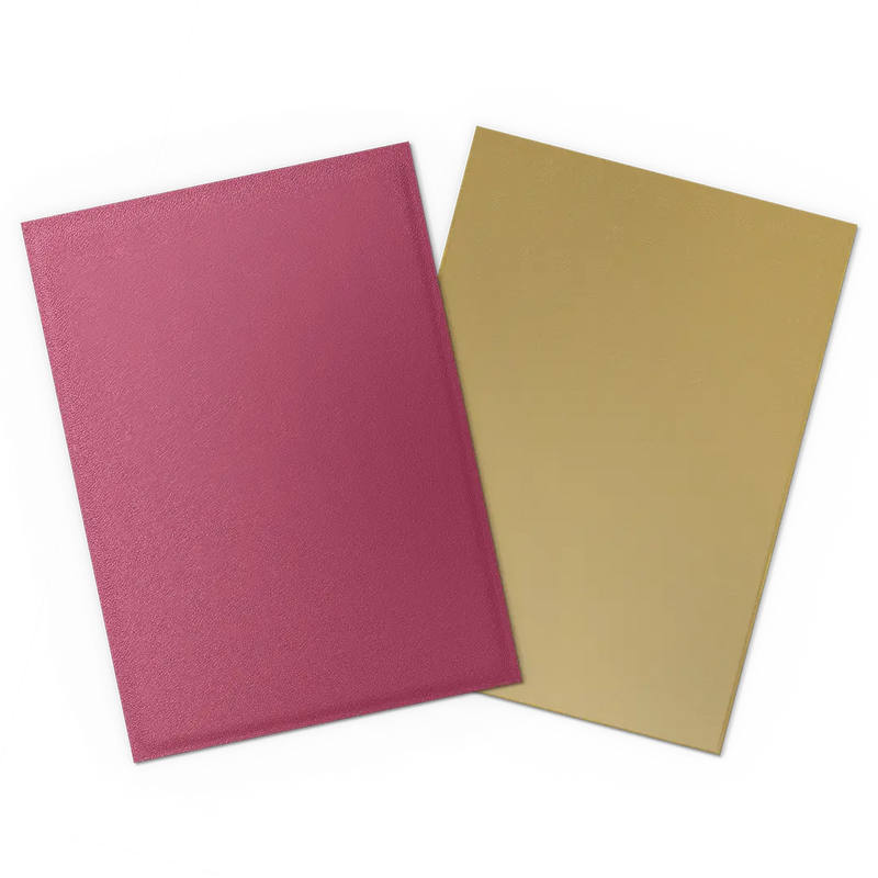 Dragon Shield 25th Special Edition - Matte Dual Sleeves - Red/Gold