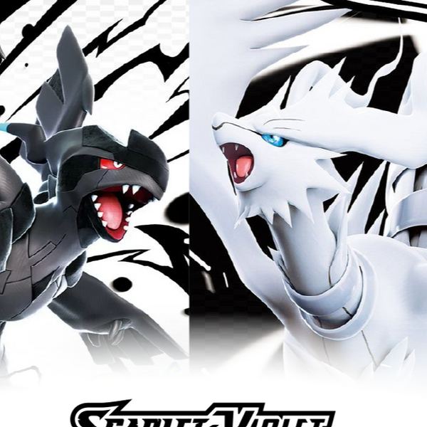 The Mint TCG